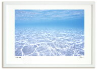 【スーパーSALE半額】アートフォト 絵画 ニューカレドニア 透明な海/海 額入り 額装込 風景画 絵画 アー…