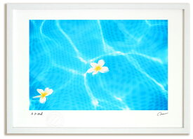 アートフォト 絵画 波間に浮かぶ白花（ハワイ）/海 インテリア 額入り 額装込 風景画 油絵 ポスター アート アートパネル リビング 玄関 プレゼント モダン アートフレーム 飾る Mサイズ おしゃれ 壁掛け 絵