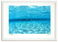 アートフォト 絵画 透明な海を泳ぐ魚（モルディブ）/海 インテリア 額入り 額装込 風景画 油絵 ポスター …