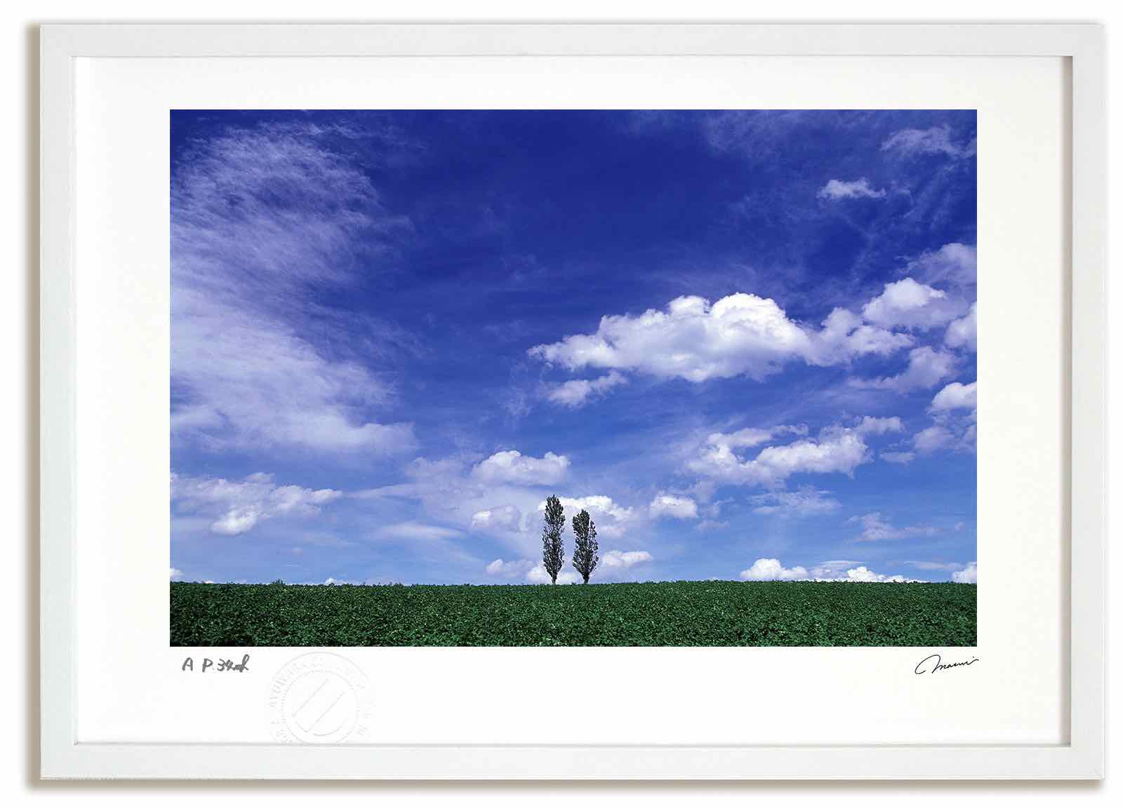 壁アート、雲ポスターキャンバス絵画自然雲青空風景画プリント壁の装飾フレームなし NJWlcksnUH
