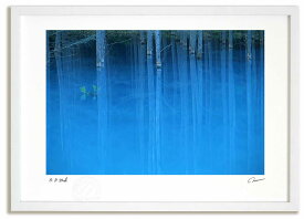 アートフォト 絵画 ベスト 蒼い池 高橋真澄/インテリア 額入り 額装込 風景画 油絵 ポスター アート アートパネル リビング 玄関 プレゼント モダン アートフレーム 飾る おしゃれ 壁掛け 絵