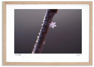 �A�[�g�t�H�g �G�� ��̌���1 �����^��/�C���e���A �z���� �z���� ���i�� ���G �|�X�^�[ �A�[�g �A�[�g�p�l�� ���r���O ���� �v���[���g ���_�� �A�[�g�t���[�� ���� ������� �Ǌ|�� �G