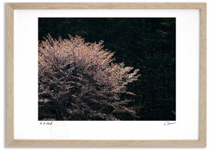 A[gtHg G 2 ^/CeA z z i G |X^[ A[g A[gpl rO  v[g _ A[gt[   Ǌ| G