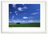 アートフォト 絵画 ベスト 青空と雲 高橋真澄/インテリア 額入り 額装込 風景画 油絵 ポスター アート ア…