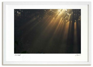 �A�[�g�t�H�g �G�� ���2 �����^��/�C���e���A �z���� �z���� ���i�� ���G �|�X�^�[ �A�[�g �A�[�g�p�l�� ���r���O ���� �v���[���g ���_�� �A�[�g�t���[�� ���� ������� �Ǌ|�� �G