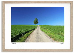 A[gtHg G Ɠ1 ^/CeA z z i G |X^[ A[g A[gpl rO  v[g _ A[gt[   Ǌ| G