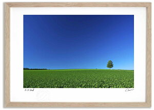 �A�[�g�t�H�g �G�� ����1 �����^��/�C���e���A �z���� �z���� ���i�� ���G �|�X�^�[ �A�[�g �A�[�g�p�l�� ���r���O ���� �v���[���g ���_�� �A�[�g�t���[�� ���� ������� �Ǌ|�� �G