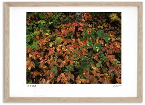 yX[p[SALEzzA[gtHg G ̍gt2 ^/CeA z z i G |X^[ A[g A[gpl rO  v[g _ A[gt[  