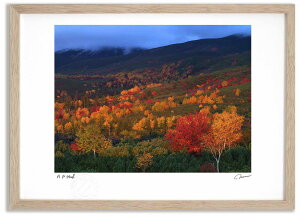 A[gtHg G \x]x̍gt@[2 ^/CeA z z i G |X^[ A[g A[gpl rO  v[g _ A[gt[  