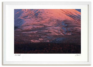 A[gtHg G V̔lxmƗ[ ^/CeA z z i G |X^[ A[g A[gpl rO  v[g _ A[gt[   