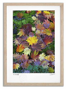 yX[p[SALEzzA[gtHg G gt3 ^/CeA z z i G |X^[ A[g A[gpl rO  v[g _ A[gt[  