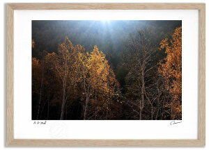 A[gtHg G xXg 锒 ^/CeA z z i G |X^[ A[g A[gpl rO  v[g _ A[gt[   Ǌ| 