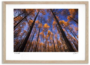 yX[p[SALEzzA[gtHg G J}c̍gt2 ^/CeA z z i G |X^[ A[g A[gpl rO  v[g _ A[gt[ 