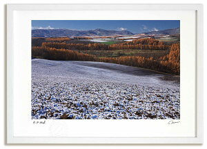 yX[p[SALEzzA[gtHg G VƃJ}c̍gt2 ^/CeA z z i G |X^[ A[g A[gpl rO  v[g _ A[gt