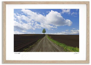 yI|Cg100obNzA[gtHg G {̖؂Ɠ ^/CeA z z i G |X^[ A[g A[gpl rO  v[g _ A[gt[