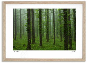 yX[p[SALEzzA[gtHg G V΂̃J}c1 ^/CeA z z i G |X^[ A[g A[gpl rO  v[g _ A[gt[ 