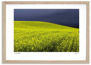 A[gtHg G LKV1 ^/CeA z z i G |X^[ A[g A[gpl rO  v[g _ A[gt[   Ǌ| G