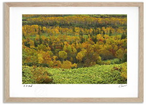 yX[p[SALEzzA[gtHg G ]x̍gt ^/CeA z z i G |X^[ A[g A[gpl rO  v[g _ A[gt[  