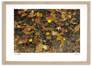 yX[p[SALEzzA[gtHg G tƍgt1 ^/CeA z z i G |X^[ A[g A[gpl rO  v[g _ A[gt[  