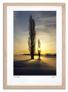 yX[p[SALEzzA[gtHg G |v̒2 ^/CeA z z i G |X^[ A[g A[gpl rO  v[g _ A[gt[ 