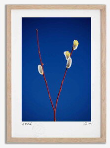 yI|Cg100obNzA[gtHg G ˂Ȃ9 ^/CeA z z i G |X^[ A[g A[gpl rO  v[g _ A[gt[