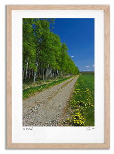 A[gtHg G ^||Ɠ/my ^/CeA z z i G |X^[ A[g A[gpl rO  v[g _ A[gt[   