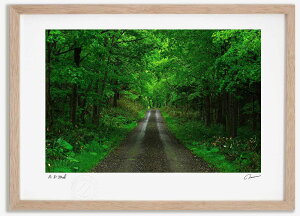 yX[p[SALEzzA[gtHg G V΂̓1 ^/CeA z z i G |X^[ A[g A[gpl rO  v[g _ A[gt[  