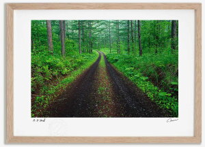 yI|Cg100obNzA[gtHg G V΂̃J}cтƓ2 ^/CeA z z i G |X^[ A[g A[gpl rO  v[g _ A