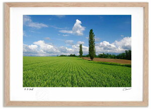 yI|Cg100obNzA[gtHg G xXg |u ^/CeA z z i G |X^[ A[g A[gpl rO  v[g _ A[gt