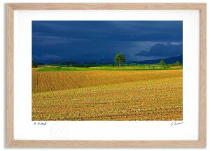 【抽選ポイント100%バック】アートフォト 絵画 新緑の丘 夕方2 高橋真澄/インテリア 額入り 額装込 風景画 油絵 ポスター アート アートパネル リビング 玄関 プレゼント モダン アートフ