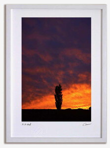 A[gtHg G [̃|v3 ^/CeA z z i G |X^[ A[g A[gpl rO  v[g _ A[gt[   Ǌ| G