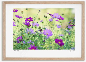 A[gtHg G RXX2 ^/CeA z z i G |X^[ A[g A[gpl rO  v[g _ A[gt[   Ǌ| G