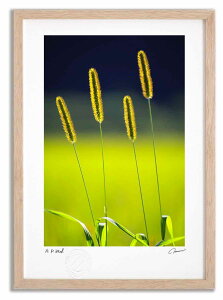 yX[p[SALE50OFFzA[gtHg G GmR11 ^/CeA z z i G |X^[ A[g A[gpl rO  v[g _ A[gt[ 
