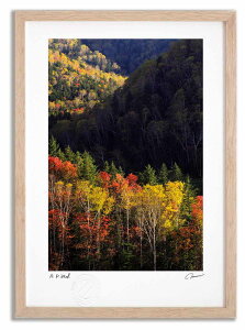 yX[p[SALEzzA[gtHg G R̍gt2 ^/CeA z z i G |X^[ A[g A[gpl rO  v[g _ A[gt[ 