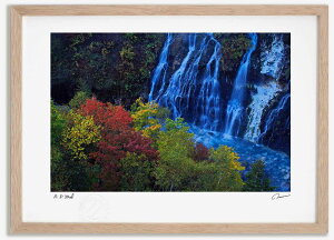 yX[p[SALEzzA[gtHg G Ђ̑̍gt1 ^/CeA z z i G |X^[ A[g A[gpl rO  v[g _ A[gt[ 