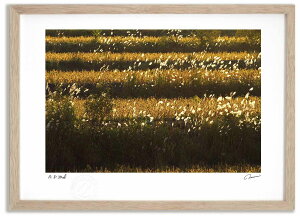 �A�[�g�t�H�g �G�� ������1 �����^��/�C���e���A �z���� �z���� ���i�� ���G �|�X�^�[ �A�[�g �A�[�g�p�l�� ���r���O ���� �v���[���g ���_�� �A�[�g�t���[�� ���� ������� �Ǌ|�� �G