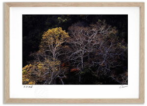 yX[p[SALEzzA[gtHg G gt̏\x1 ^/CeA z z i G |X^[ A[g A[gpl rO  v[g _ A[gt[ 