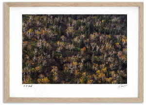 yX[p[SALEzzA[gtHg G xXg gt̏\x2 ^/CeA z z i G |X^[ A[g A[gpl rO  v[g _ A[gt