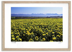 A[gtHg G q}Ə\xA ^/CeA z z i G |X^[ A[g A[gpl rO  v[g _ A[gt[   