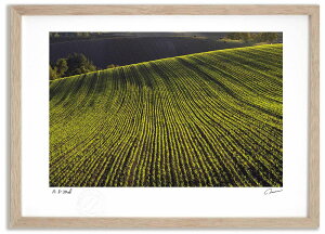 A[gtHg G [Ɍ鐤2 ^/CeA z z i G |X^[ A[g A[gpl rO  v[g _ A[gt[   Ǌ| G