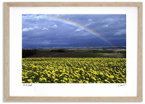 A[gtHg G q}Ɠ4 ^/CeA z z i G |X^[ A[g A[gpl rO  v[g _ A[gt[   Ǌ| G