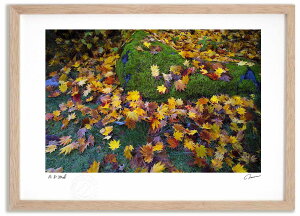 yX[p[SALEzzA[gtHg G gt ^/CeA z z i G |X^[ A[g A[gpl rO  v[g _ A[gt[  