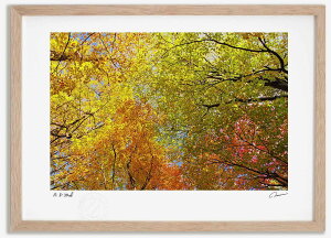 yX[p[SALEzzA[gtHg G gt19 ^/CeA z z i G |X^[ A[g A[gpl rO  v[g _ A[gt[  