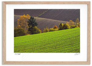 A[gtHg G H̋u2 ^/CeA z z i G |X^[ A[g A[gpl rO  v[g _ A[gt[   Ǌ| G