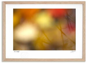 yX[p[SALEzzA[gtHg G ʂɉfgt ^/CeA z z i G |X^[ A[g A[gpl rO  v[g _ A[gt[ 