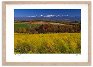 A[gtHg G AXpƏ\xA ^/CeA z z i G |X^[ A[g A[gpl rO  v[g _ A[gt[   