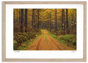 A[gtHg G gt̂珼тƓ3 ^/CeA z z i G |X^[ A[g A[gpl rO  v[g _ A[gt[   