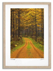 A[gtHg G gt̂珼тƓ4 ^/CeA z z i G |X^[ A[g A[gpl rO  v[g _ A[gt[   