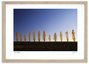 A[gtHg G H̃|v1 ^/CeA z z i G |X^[ A[g A[gpl rO  v[g _ A[gt[   Ǌ| 