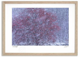 yI|Cg100obNzA[gtHg G ~1 ^/CeA z z i G |X^[ A[g A[gpl rO  v[g _ A[gt[  